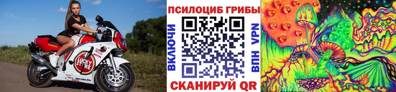 Псилоцибиновые грибы GOLDEN TEACHER  Каменск-Шахтинский 